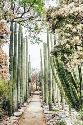  Nature Gardening: A Mexican Journey into Sustainable Practices – A Floral Tapestry Woven With Earthly Wisdom and Practicality